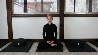 Zen Meditation Instruction How to Meditate [upl. by Nyliak341]