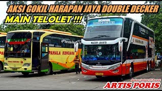 GOKIL  BIS TINGKAT PANDAI BERNYANYI DENGAN TELOLETNYA  HARAPAN JAYA SDD quotNEW SANDARAN HATIquot [upl. by Cychosz737]