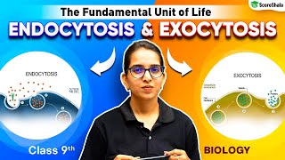 Endocytosis and Exocytosis  Class 9 Biology Chapter 1  The Fundamental Unit of Life [upl. by Nellac]