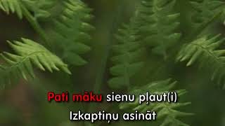 Div pļaviņas es nopļāvu KARAOKE [upl. by Ennasor]