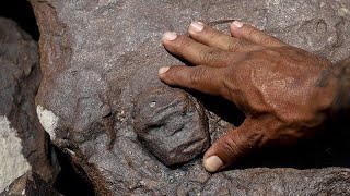 Brazils drought exposes ancient rock engravings on banks of Amazon River [upl. by Lyrrad]