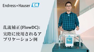 乱流補正（FlowDC）：実際に使用されるアプリケーション例  EndressHauser [upl. by Milka369]