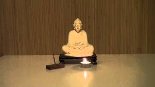 Zazen Sitting Meditation  20 Minutes [upl. by Idalina304]