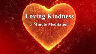 Quick 5 Minute Guided Meditation  Loving Kindness for Self [upl. by Sakul74]