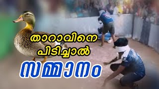 താറാവിനെ 🦆 പിടിച്ചാൽ സമ്മാനം 🏆 [upl. by Renraw]