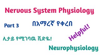 Physiology Neurophysiology General Nervous Tissue Part 3 Informative Video Lecture in Amharic Sp [upl. by Fletcher275]