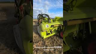 CLAAS TRION 730 Новосибирская обл [upl. by Hyo933]