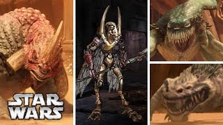 Geonosian Gladiators and the Creatures from the Geonosis Arena [upl. by Dloreh]