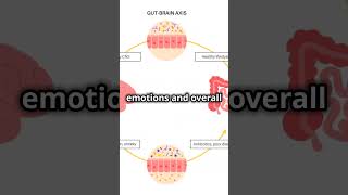 Did you know that humans have a quotsecond brainquot in their gut [upl. by Amye]