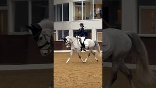 🥈Our first Novice Dressage test [upl. by Baal]