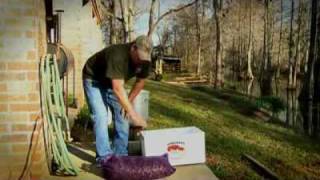 How To Cook Crawfish  Louisiana Crawfish Company [upl. by Aloin681]