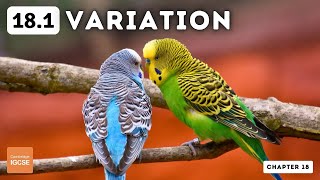 IGCSE Biology  Variation 181 [upl. by Atinnor]