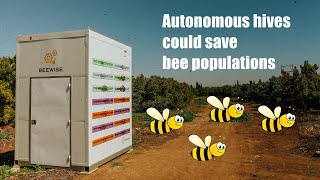 Autonomous hives could save bee populations [upl. by Hew]