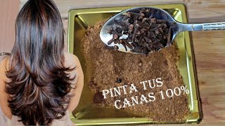 PINTA TU CABELLO SIN QUÍMICOS DE MARRÓN Y ELIMINA TUS CANAS 100🤎 [upl. by Nosoj]