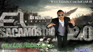 Mix Los Roba Girl 2 quotLa Lokuraquot  Dj Kelvin El Sacamostro [upl. by Niobe]