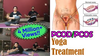 PCODPCOS Workout at Home [upl. by Olvan]