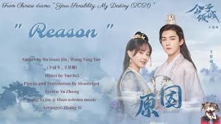 OST Your Sensibility My Destiny 2021  Reason 原因 By Bu Guan Jin  Wang Xing Yue 卜冠今  王星越 [upl. by Harwell]