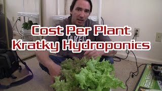 Kratky Hydroponic Cost Breakdown Per Plant [upl. by Margareta]