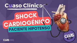 Abordaje de un paciente Hipotenso ¡ojo SHOCK CARDIOGÉNICO 🫀 [upl. by Innavoeg]