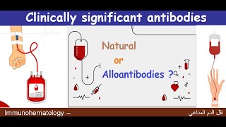 Lecture 16 Clinically significant antibodies [upl. by Adnamahs346]