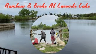 Rainbow Trout amp Broke Trout At Lacombe Lake Park642022 [upl. by Teece]