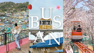 busan in 4 days 🍓 [upl. by Korney788]