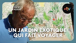 Pas de panique  3 ans après  un jardin exotique luxuriant qui fait voyager  Silence ça pousse [upl. by Hatti]