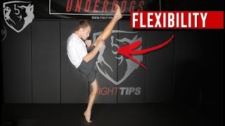 My Daily Stretching Routine for High Kick Flexibility [upl. by Alodee]