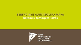 Beneficiaris ajuts sequera MAPA herbacis tomàquet i arròs [upl. by Kahcztiy]