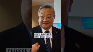 Chinese ambassador slams Israeli UN ban [upl. by Templeton]