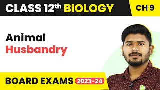 Class 12 Biology Chapter 9  Animal Husbandry Strategies for Enhancement in Food Production 202223 [upl. by Bendicty175]