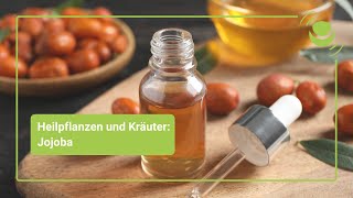 Jojoba – Alles was du über seine Wirkung wissen solltest [upl. by Eppesuig]