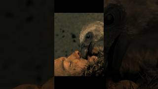 Considered dead by vultures viral movie film movieclips [upl. by Sydney679]