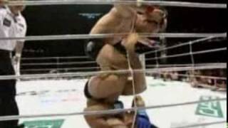 Wanderlei Silva Highlights [upl. by Anilatsyrc]