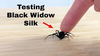 Is Black Widow Silk Stronger Than Steel [upl. by Jeanette335]