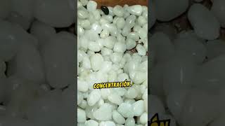 Beneficios del Cuarzo Blanco cuarzos cristal gemas minerales piedras piedrasmagicas cuarzo [upl. by Onaivlis]