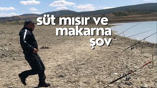 Balık Avı  Süt Mısır ve Makarna Şov Yaptı Gölde Balık Avı Çorum  Sazan Avı [upl. by Yerocaj]