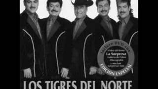 causame la muertelos tigres del norte [upl. by Kerat]