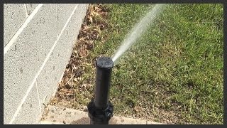 How to raiseelevate a sprinkler head [upl. by Nosauq]