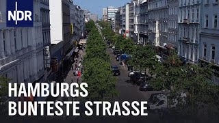 Boulevard der Gegensätze  Hamburgs Steindamm  die nordstory  NDR Doku [upl. by Justine616]