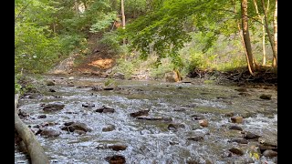 Quiet Mountain Stream [upl. by Ahtoelc]