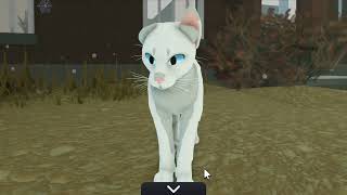 Floppy Ear Glitch WCUE warriorcatsultimateedition glitch wcue [upl. by Sky]