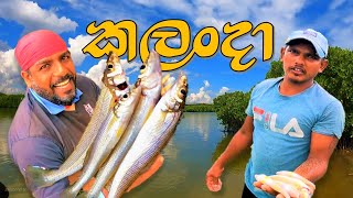 කලංදො දඩයම 🎣 Golden sand whiting fish hunt 😲wishwatiyubaya [upl. by Dunkin563]