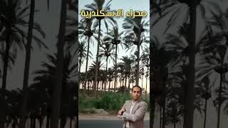 صحراء الاسكندرية تركايةوحكايةمعمراد المشروعاتالقوميةبالإسكندرية [upl. by Franz]