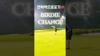 오버스윙 전략적이었어ㅋ golf 골프장 어메이징골프모임 골프 오버스윙 필드촬영 퍼팅 에덴블루cc [upl. by Eilyw]