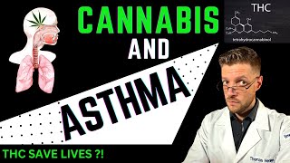 Can Cannabis Help Asthma  THC a Bronchodilator [upl. by Eceer257]