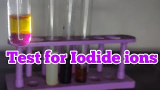 Test for Iodide ions [upl. by Ulani574]