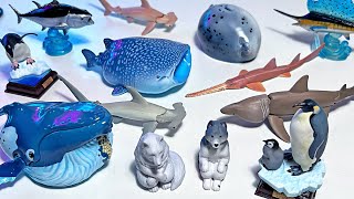 Japan Gashapon Sea Animals  Shark Whale Sawfish Hammerhead Megamouth Sailfish Penguin Tuna [upl. by Zerat]