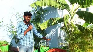 watering plants in terrace garden hot sun or during summer season [upl. by Itnava]