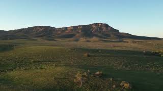 Flinders Ranges and Barossa valley South Australia August 2024 [upl. by Bellamy724]